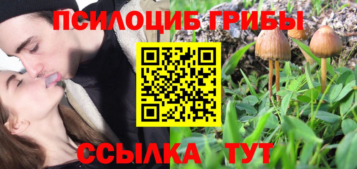 Галлюциногенные грибы GOLDEN TEACHER Кандалакша
